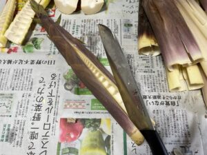 筍【淡竹ハチクとは？】皮のむき方・アク抜き・ゆで方・簡単レシピ