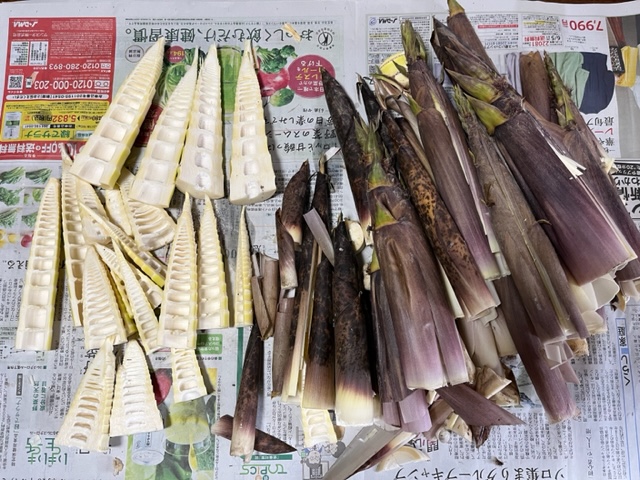 筍【淡竹ハチクとは？】皮のむき方・アク抜き・ゆで方・簡単レシピ
