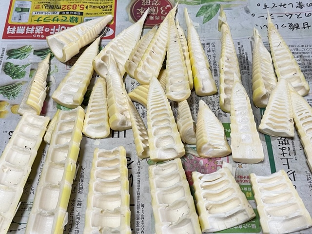 筍【淡竹ハチクとは？】皮のむき方・アク抜き・ゆで方・簡単レシピ